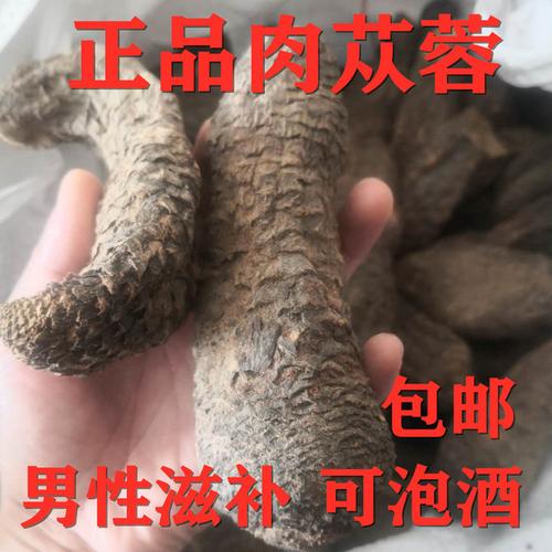 肉苁蓉泡酒比例112药效最佳各种肉苁蓉泡酒比例