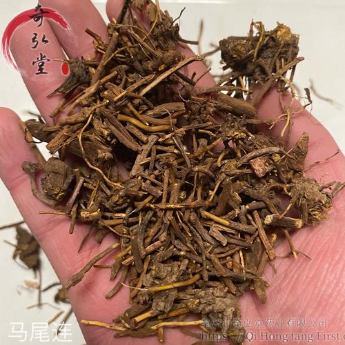 与马尾连同功效的药材有哪些,马尾连的功效与作用,马尾连的副作用的功效与作用-与马尾连同功效的药材有哪些,马尾连的功效与作用,马尾连的副作用的图片样子