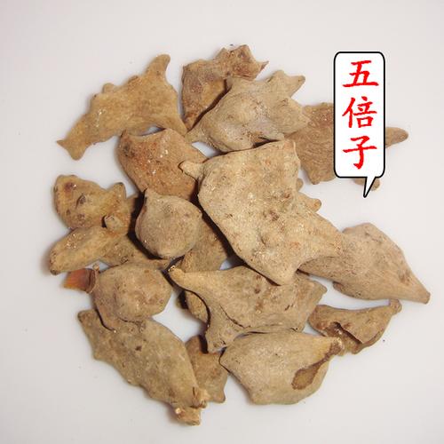 五倍子内虫的功效与作用-五倍子内虫的图片样子