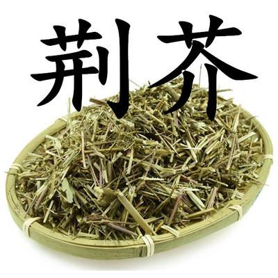 假荆芥的功效与作用-假荆芥的图片样子