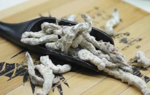 白僵蚕的功效与作用-白僵蚕的图片样子
