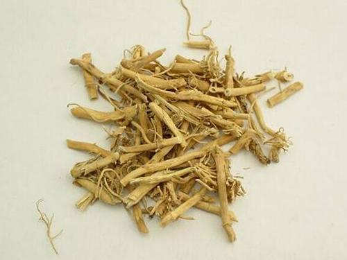 白前的功效与作用-白前的图片样子