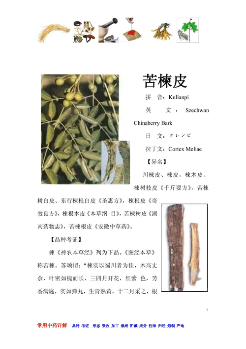 苦楝树皮泡酒的功效,苦楝树皮泡酒的功效和作用的功效与作用-苦楝树皮泡酒的功效,苦楝树皮泡酒的功效和作用的图片样子
