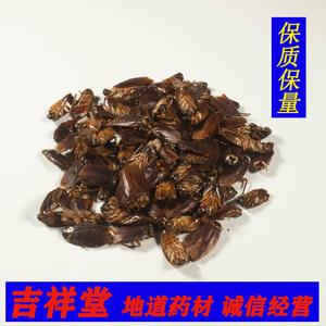 蟑螂的价格是多少,蟑螂一只多少钱的功效与作用-蟑螂的价格是多少,蟑螂一只多少钱的图片样子