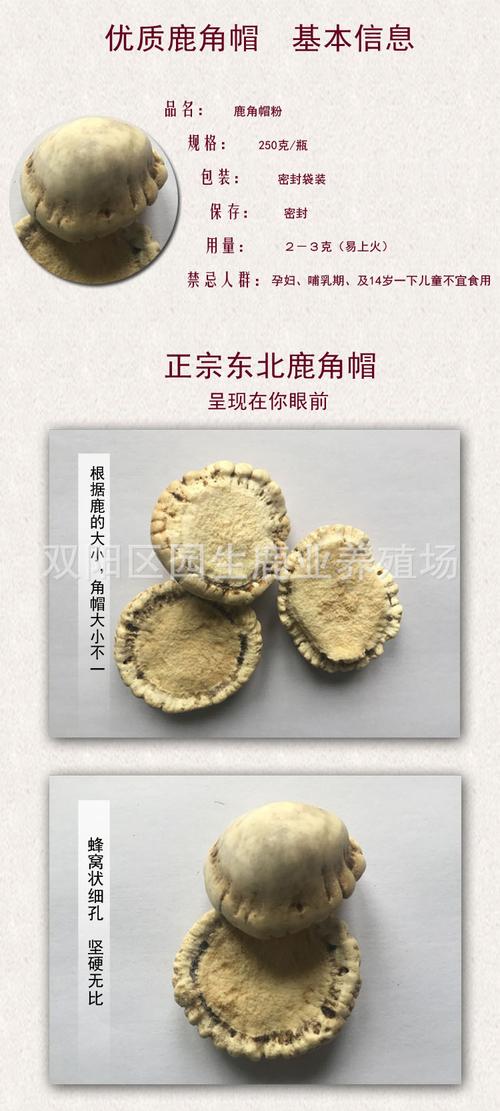鹿角帽有什么功效(鹿角帽的作用与功效及用法)的功效与作用-鹿角帽有什么功效(鹿角帽的作用与功效及用法)的图片样子