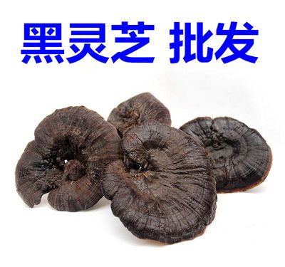 黑灵芝价格多少钱一斤,黑灵芝一斤能卖多少钱的功效与作用-黑灵芝价格多少钱一斤,黑灵芝一斤能卖多少钱的图片样子