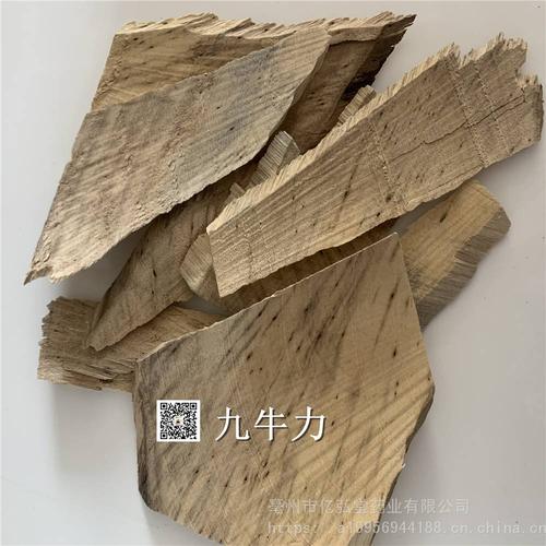 九牛造茎叶的功效与作用-九牛造茎叶的图片样子