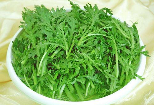 假茼蒿的功效与作用-假茼蒿的图片样子