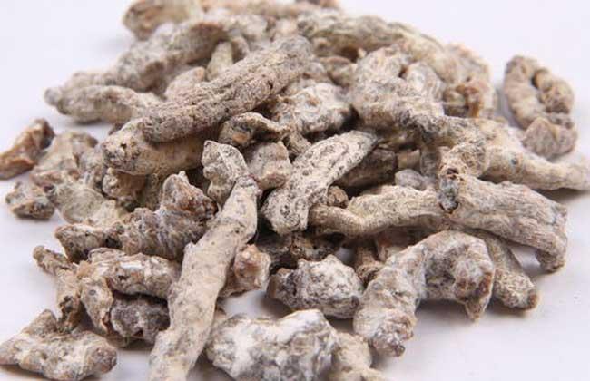 僵蛹的功效与作用-僵蛹的图片样子