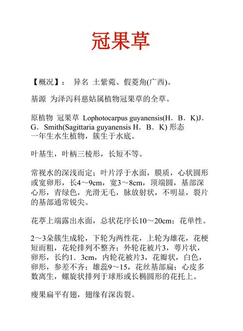 冠果草的功效与作用-冠果草的图片样子