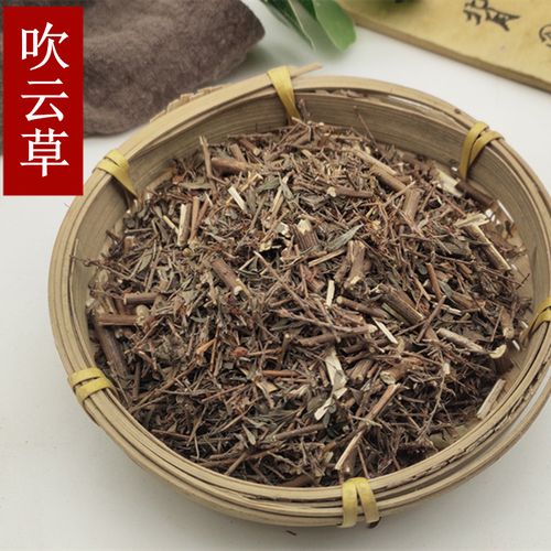吹云草的功效与作用-吹云草的图片样子