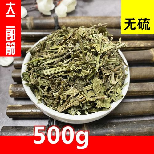 大二郎箭的功效与作用-大二郎箭的图片样子