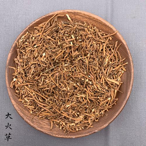 大火草根的功效与作用-大火草根的图片样子