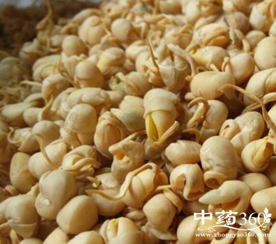 大豆黄卷的功效与作用-大豆黄卷的图片样子