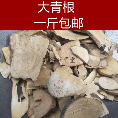 大青根的功效与作用-大青根的图片样子
