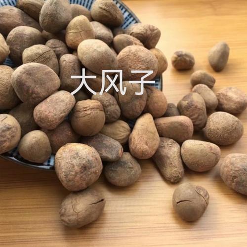 大风子的功效与作用-大风子的图片样子