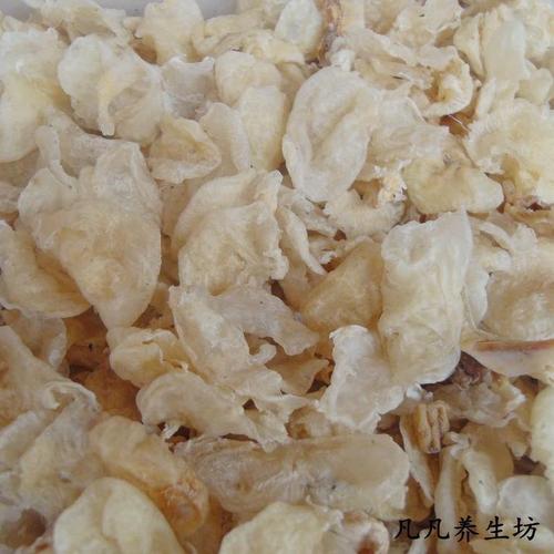 大鱼鳔花的功效与作用-大鱼鳔花的图片样子