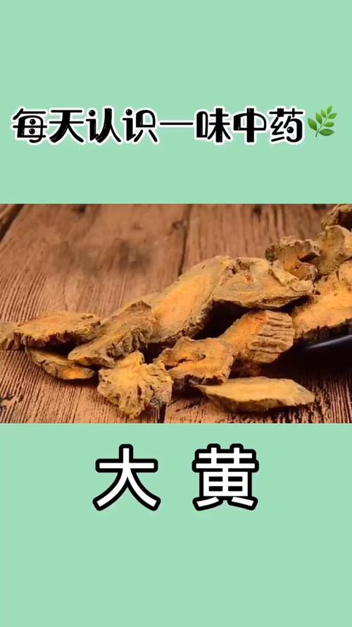 大黄茎的功效与作用-大黄茎的图片样子