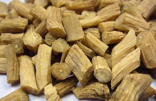 川牛膝的功效与作用-川牛膝的图片样子