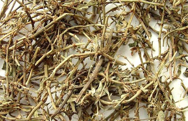 扁青的功效与作用-扁青的图片样子