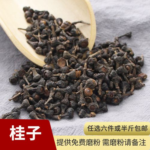 桂子的功效与作用-桂子的图片样子
