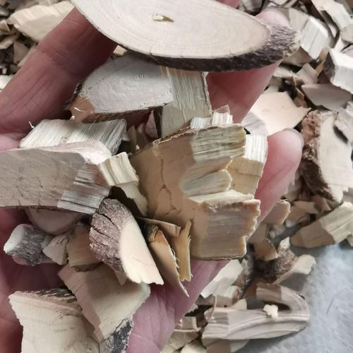 棒棒木的功效与作用-棒棒木的图片样子