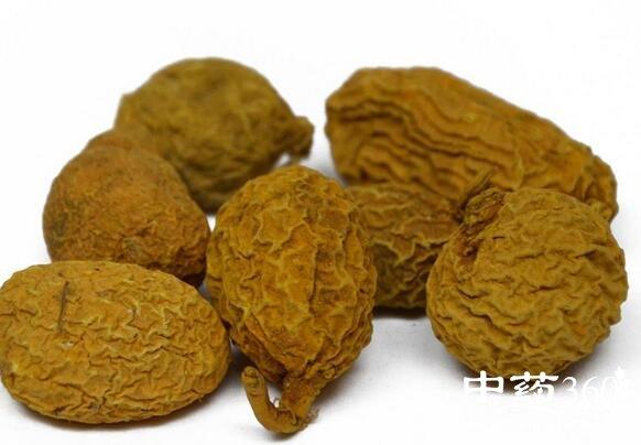 橄榄核的功效与作用-橄榄核的图片样子