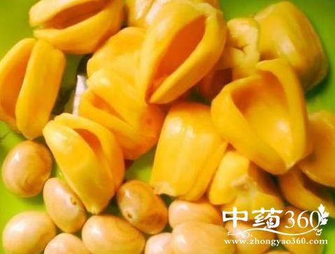 波罗蜜核中仁的功效与作用-波罗蜜核中仁的图片样子