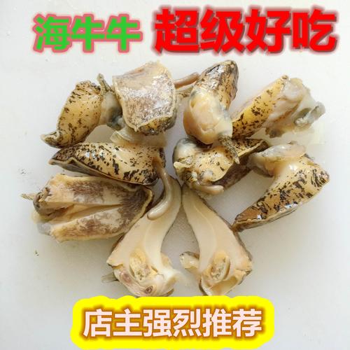 海牛的功效与作用-海牛的图片样子