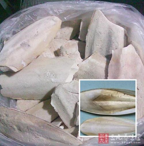 海鹞鱼的功效与作用-海鹞鱼的图片样子