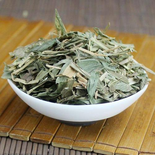 淡竹叶的功效与作用-淡竹叶的图片样子