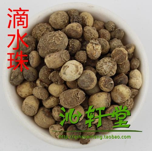 滴水珠的功效与作用-滴水珠的图片样子