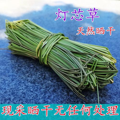 灯心草根的功效与作用-灯心草根的图片样子