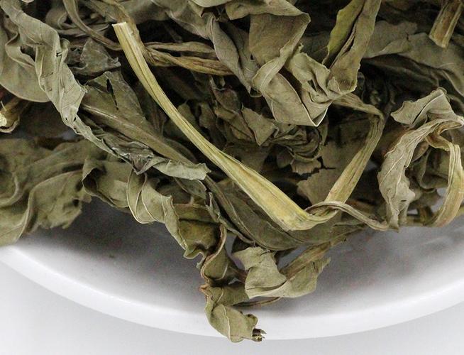 白叶火草的功效与作用-白叶火草的图片样子