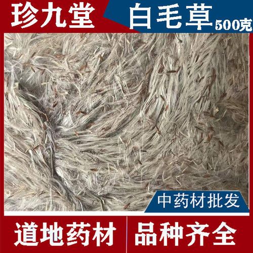 白毛草的功效与作用-白毛草的图片样子