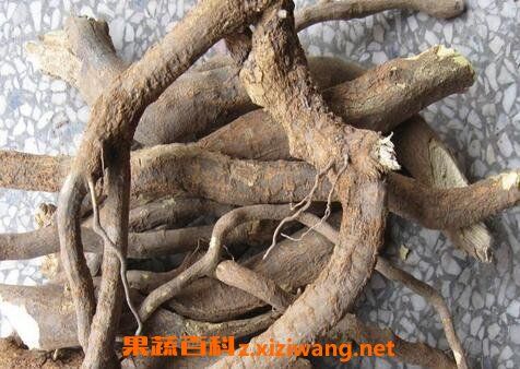 白石榴根的功效与作用-白石榴根的图片样子