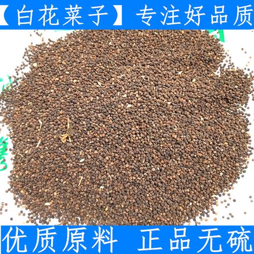 白花菜子的功效与作用-白花菜子的图片样子