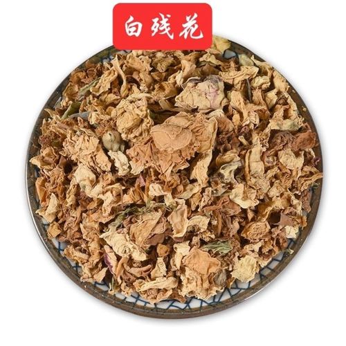 白郎花的功效与作用-白郎花的图片样子