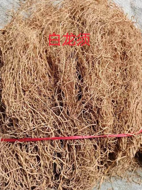 白龙头的功效与作用-白龙头的图片样子
