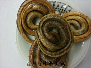 脆蛇的功效与作用-脆蛇的图片样子