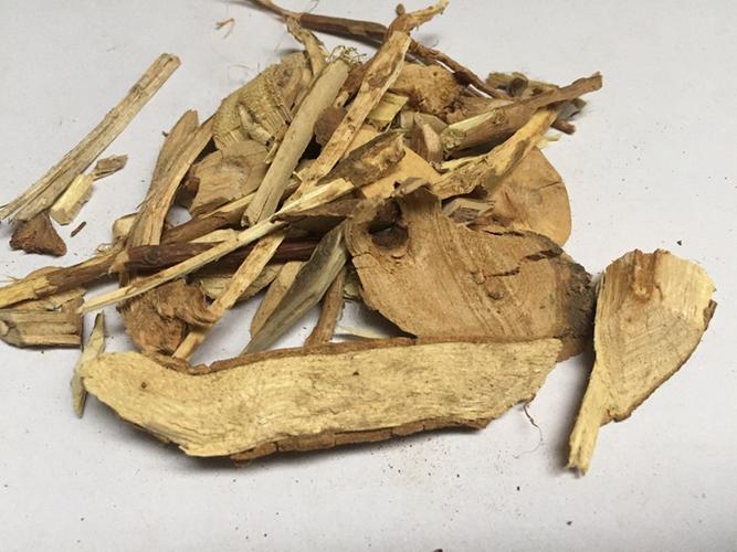 臭梧桐根的功效与作用-臭梧桐根的图片样子