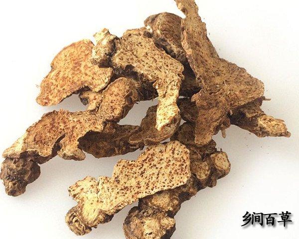 苍术的功效与作用-苍术的图片样子