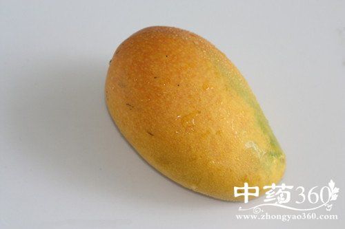 茳芒的功效与作用-茳芒的图片样子