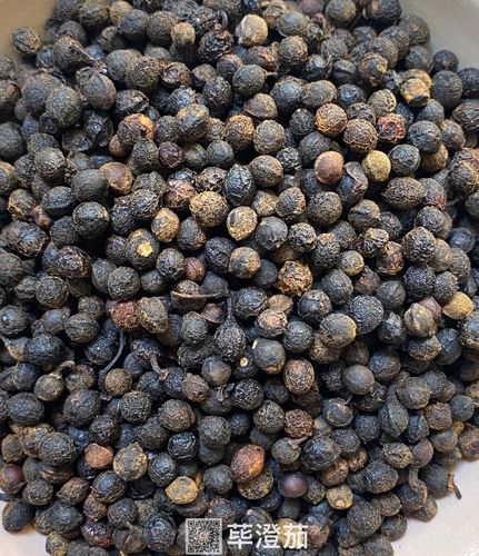 荜澄茄的功效与作用-荜澄茄的图片样子