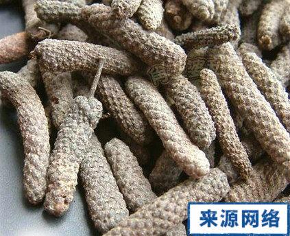 荜茇根的功效与作用-荜茇根的图片样子