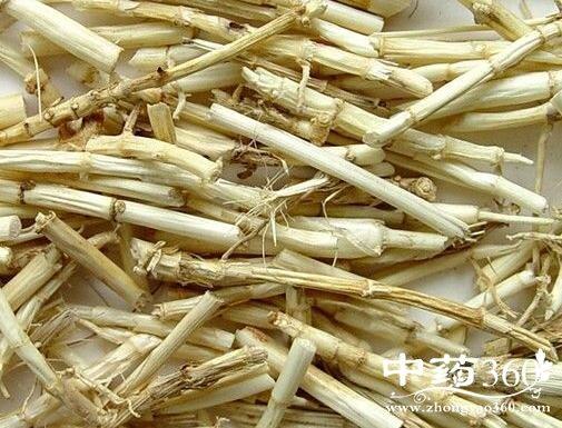 菅茅根的功效与作用-菅茅根的图片样子