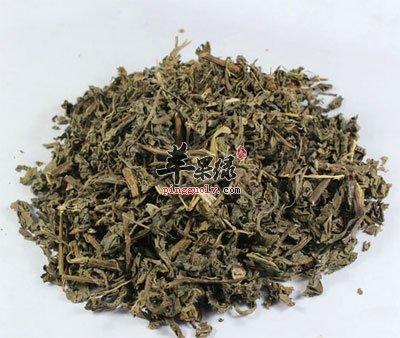 败酱的功效与作用-败酱的图片样子