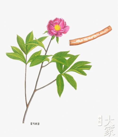 赤的功效与作用-赤的图片样子