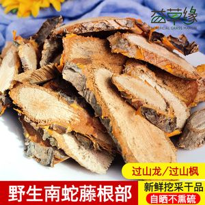 过山龙的功效与作用-过山龙的图片样子