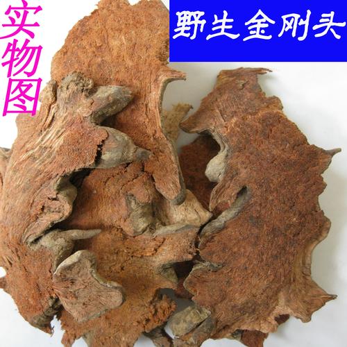 金刚刺的功效与作用-金刚刺的图片样子